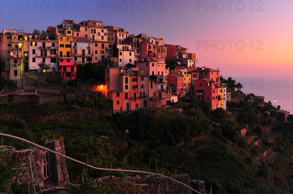 The village of Corniglia with vineyards in the evening light