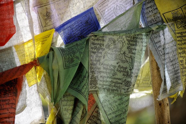 Fluttering prayer flags