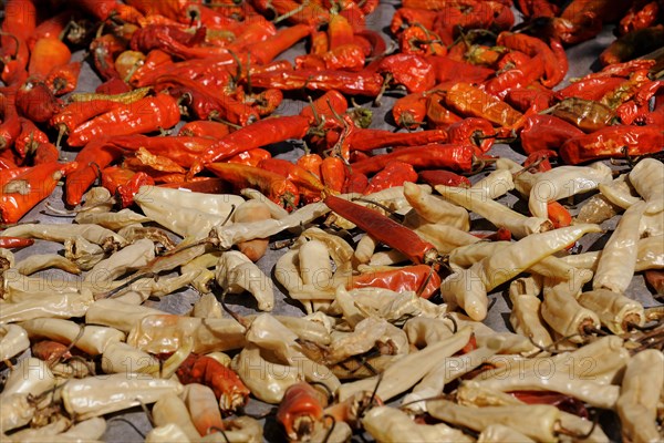 Chili peppers laid out to dry
