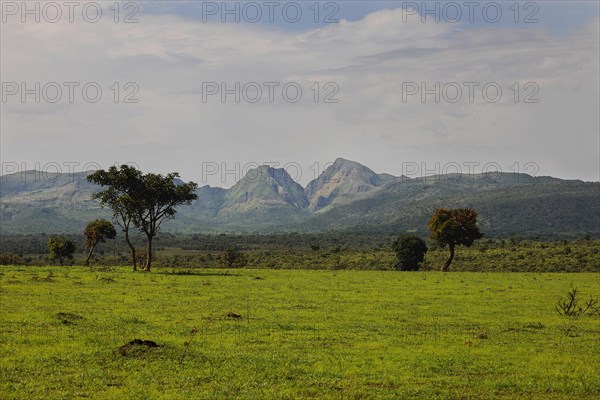 Landscape of Central Cameroon