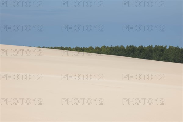 Shifting sand dunes