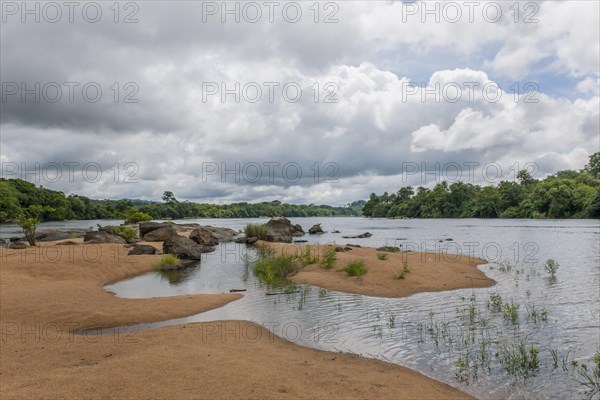 Tiwai Island Wildlife Sanctuary on an island in the Moa River