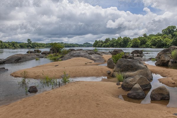 Tiwai Island Wildlife Sanctuary on an island in the Moa River