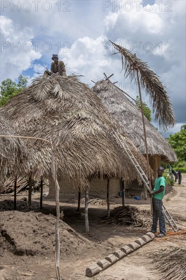 Men covering the roof of a granary in a village on the Moa River