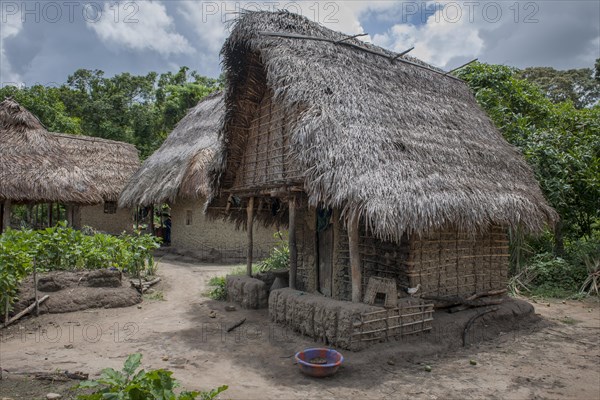 Houses in a village on the Moa River