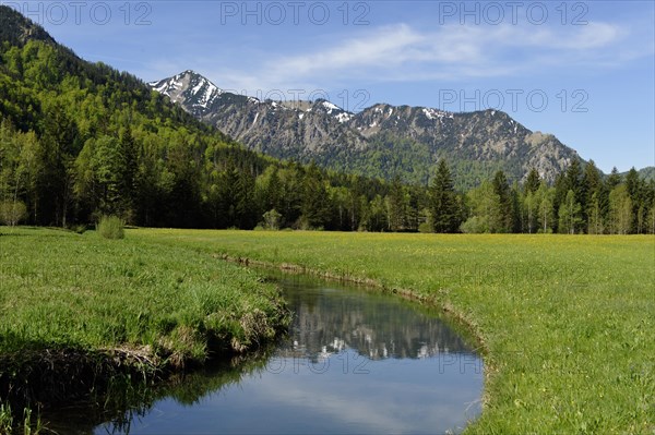 Landscape near Aurach in the Leitzachtal valley in spring