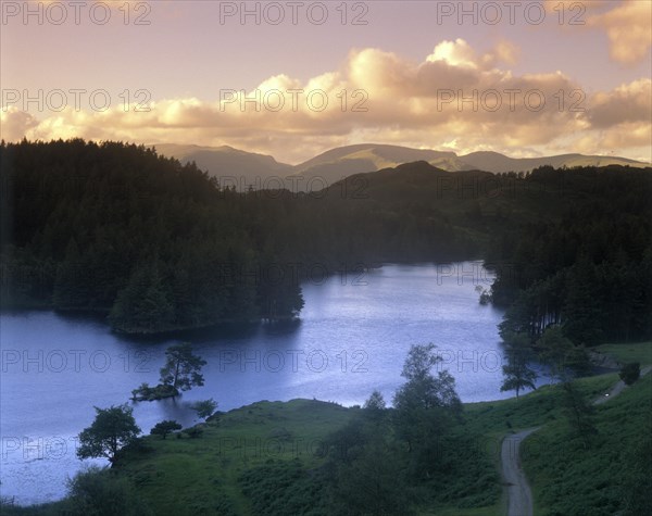 Cloudy mood at Tarn Hows lake