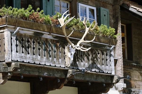 Antlers on the railings of a balcony