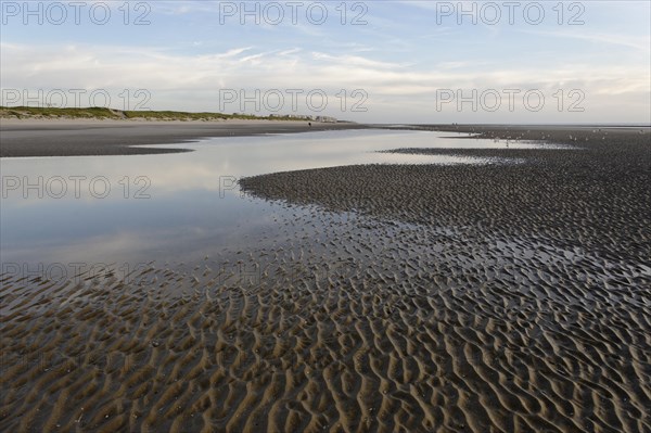 Beach at low tide