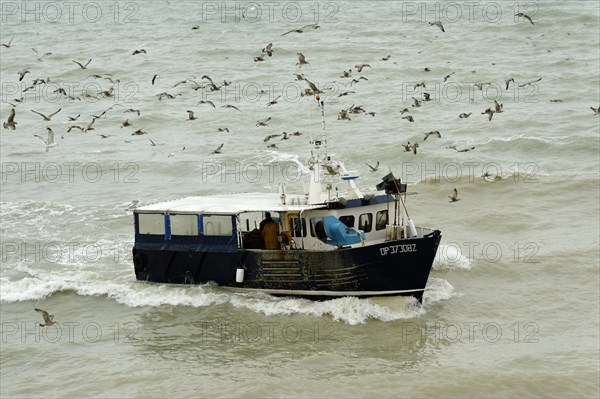 Seagulls swarming around a fishing boat