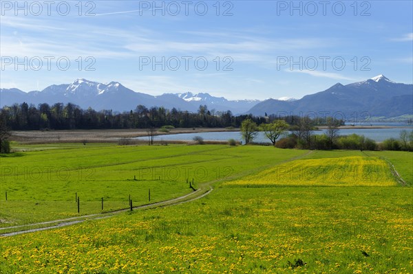 Spring at Lake Chiemsee Schafwaschener Bucht bay off Mt. Hochgern