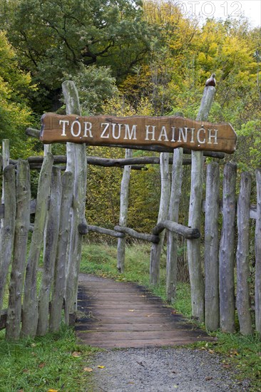 Tor zum Hainich'