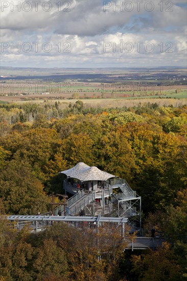 Treetop trail