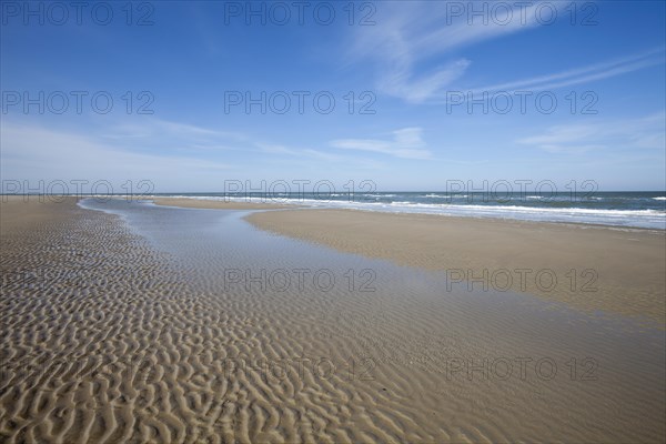 Beach at low tide
