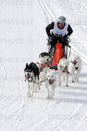 Sled musher with a dog team and sled