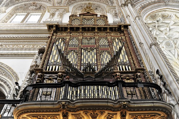 Organ