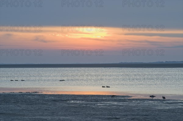 Sunset over the Wadden Sea