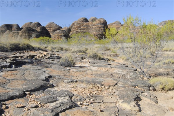 Purnululu National Park