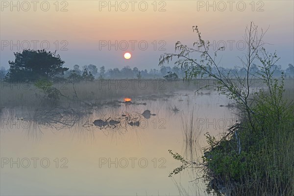 Rewetted bog