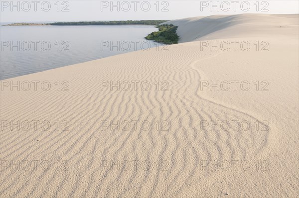 Wandering dune