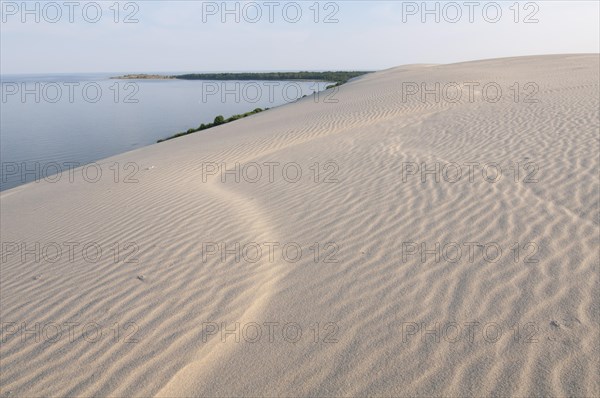 Wandering dune