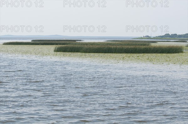 Neman River delta