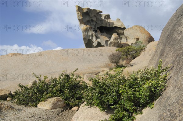 Remarkable Rocks