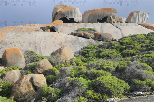 Remarkable Rocks