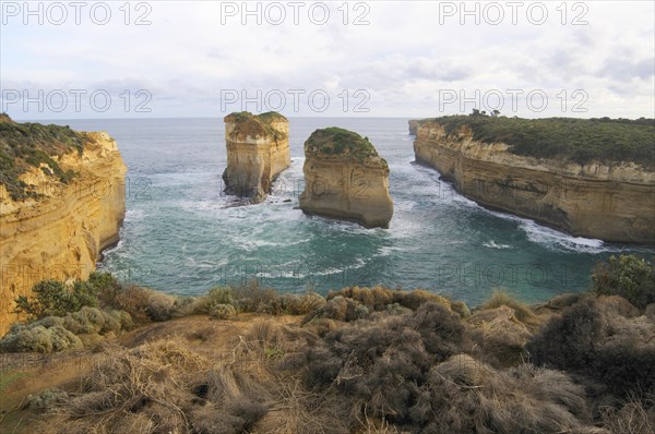 Loch Ard Gorge