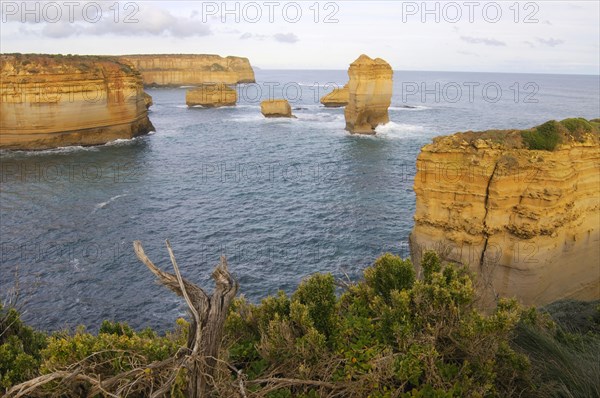 Loch Ard Gorge