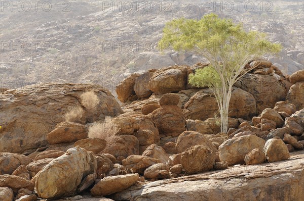 Mountain landscape along a trail to the White Lady rock painting in the Tsisab Gorge