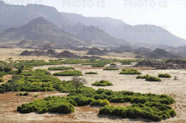 The dry river bed of the Ugab river