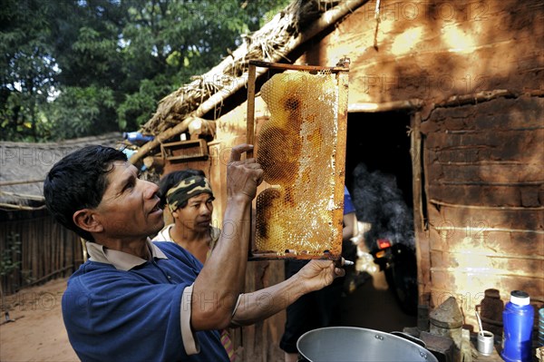 Indigenous man inspecting a honeycomb filled with honey