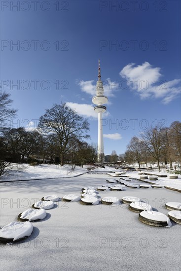 Frozen ponds in 'Planten un Blomen' park