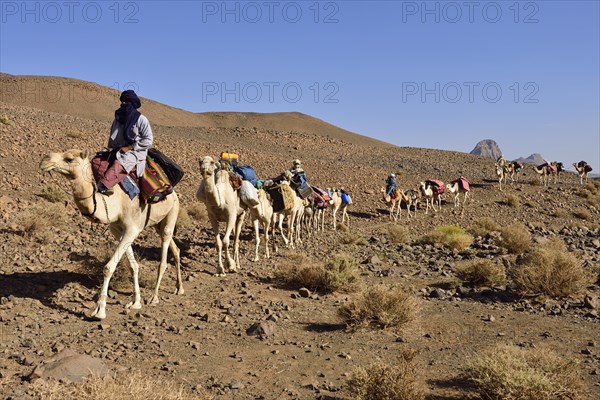 Tuareg men