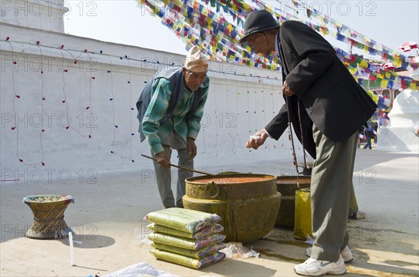 Saffron for sale