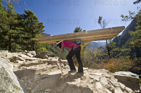 Porter carrying heavy timber wood up an ascending track