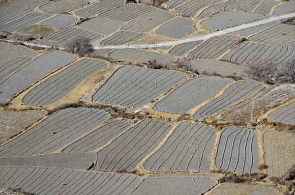 Agricultural used fields around Kaghbeni