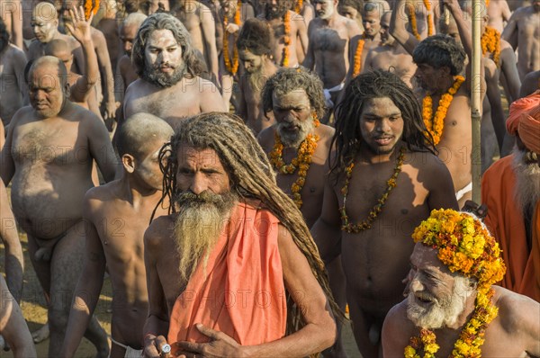 Crowds of naked Naga sadhus