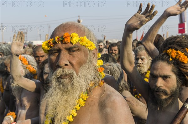 Naked Naga sadhus