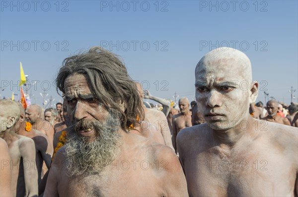 Crowds of naked Naga sadhus