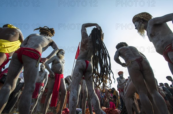 Naga sadhus