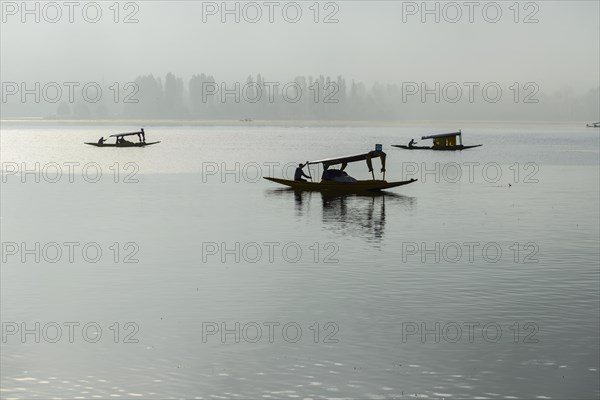 Shikara boats on Dal Lake in the early morning