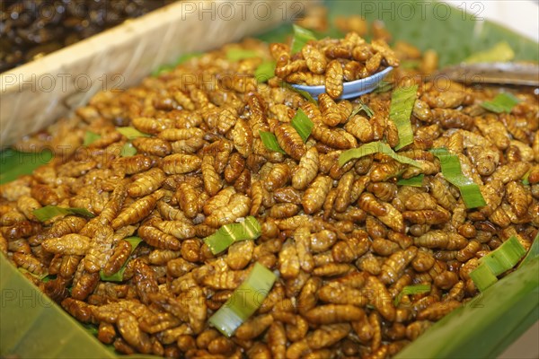 Fried silkworms at a Thai market