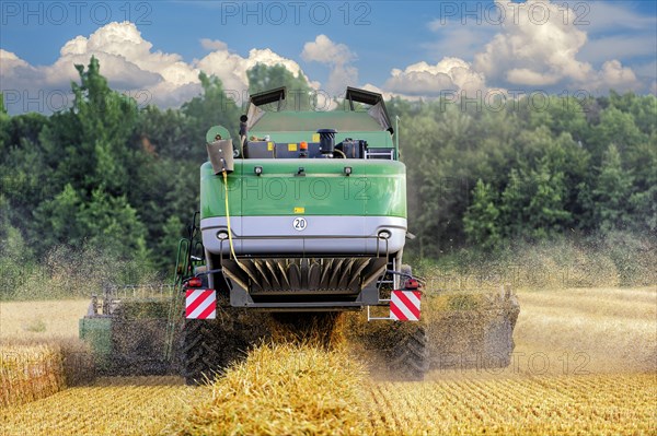 Combine harvester harvesting grain