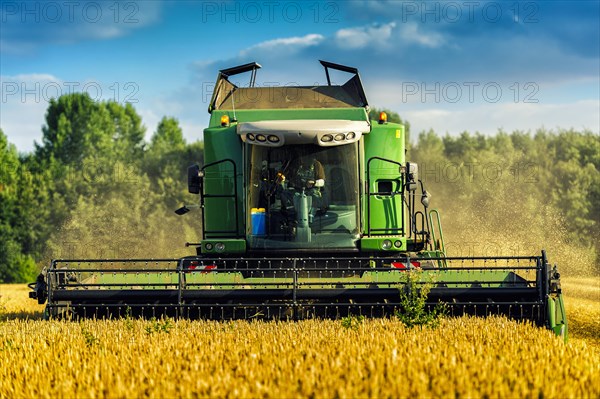 Combine harvester harvesting grain