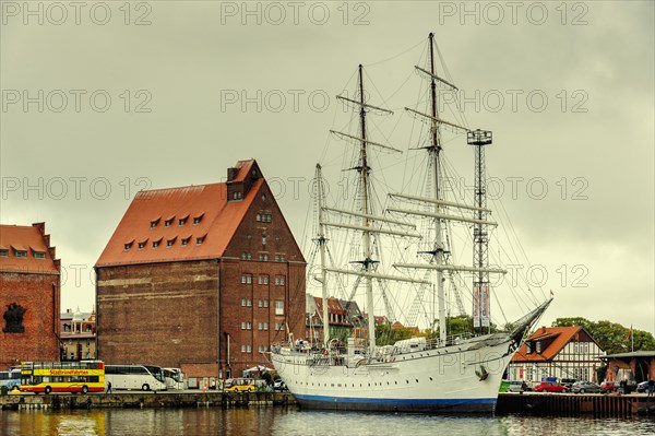 Tall ship Gorch Fock I at Stralsund harbour
