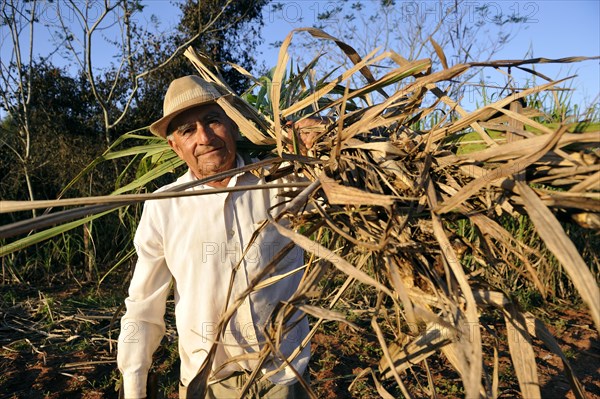 Peasant farmer