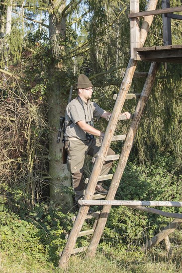 Hunter climbing a raised hide