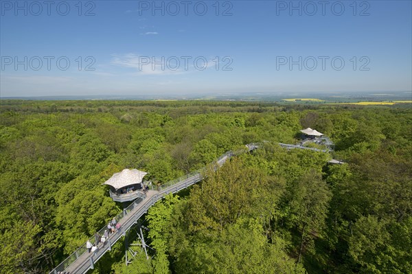 Baumkronenpfad or Canopy Walk Way in the spring forest